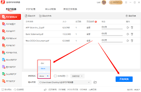 如何将pdf转word(如何将pdf转为png格式)