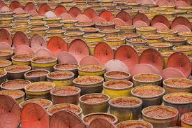 郫县豆瓣酱出自哪个省份(郫县豆瓣酱图片)