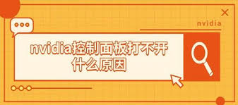 n卡驱动打不开怎么办(n卡驱动程序打不开)