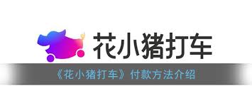 花小猪打车如何支付乘车费(花小猪打车如何支付费用)