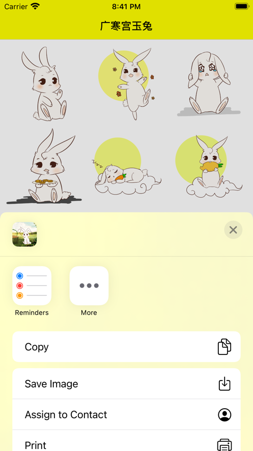 广寒宫玉兔旧版本正版