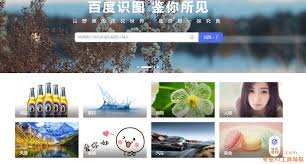百度识图功能在线解析(百度识图功能在哪里)