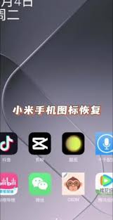 如何更改小米手机应用图标(如何更改小米手机下方的三个按键)