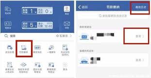 交管12123能处理非本人车辆违章吗(交管12123能绑定两个驾驶证吗)