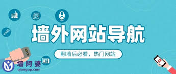 2025年能进国外网站的浏览器排名(2025年全国国)