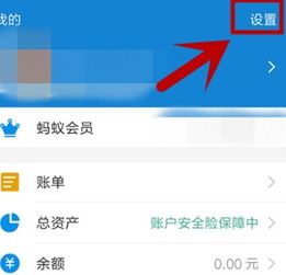 企业支付宝的优势与劣势(企业支付宝好吗)