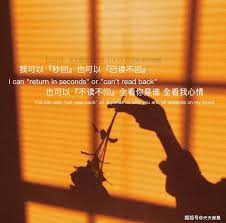 我也可以秒回也可以已读不回背景图(我可以秒回也可以不回)