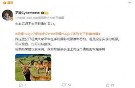 荣耀手机拍照能力如何(荣耀手机拍照参数设置)