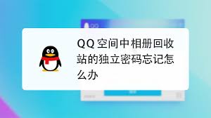 如何找回QQ回收站密码(如何找回qq密码并修改)