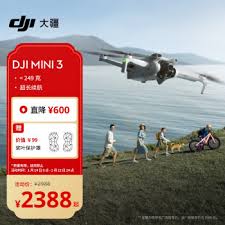 陆地大疆是什么(大疆陆迪)