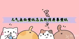 元气桌面壁纸如何取消(元气桌面壁纸如何设置锁屏)