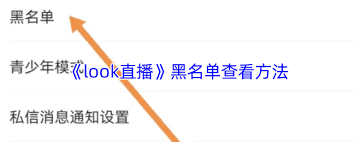 look直播如何设置麦克风权限(look直播如何未成年退款)