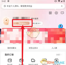 i百联如何开发票(i 百联)