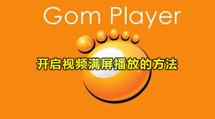 GOMPlayer怎么设置视频满屏播放(gomplayer破解版)