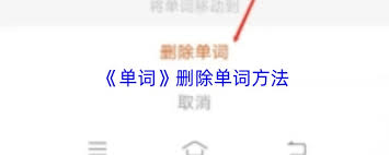 单词块如何删除单词(单词块app怎么用)