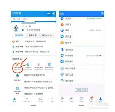 支付宝账单收支分析功能如何关闭(支付宝账单举报成立后会退款吗)