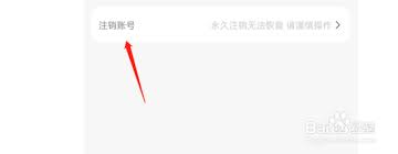 追玩app如何注销账号(追玩怎么样)