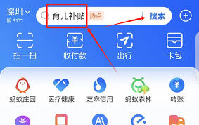 如何申请支付宝育儿补贴(怎么样在支付宝上申请生育险)