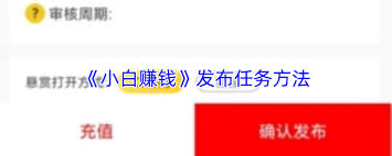 小白赚钱如何发布任务(小白赚钱app下载)