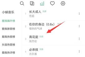 洛雪音乐app如何下载音乐(洛雪音乐有手机版吗)