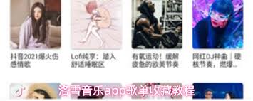 洛雪音乐app如何收藏歌单(洛雪音乐app)