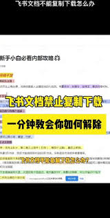 飞书文件下载慢怎么解决(飞书文件下载路径)