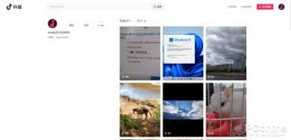 抖音网页版如何免登录进入游客模式(抖音网页版充值)