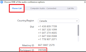 zoom如何查看版本号(zoom怎么看在线人数)