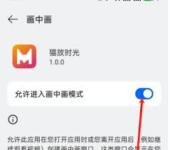 猫放时光app如何开小屏观看(猫咪放养在家需要注意什么)