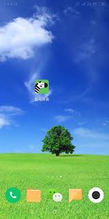 斑马英语APP怎么绑定微信账号(斑马英语软件怎么样)