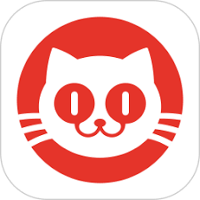 猫眼电影app如何查看电影语种和字幕(猫眼电影在哪里打开)