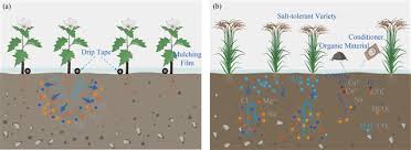 生长在盐碱地上的马绊草与哪种非遗技艺密切相关(生长在盐碱地上的蔬菜)