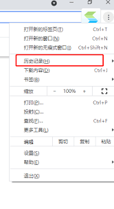 谷歌浏览器怎么查看历史记录(谷歌浏览器怎么查浏览记录)