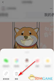 翻咔怎么更换头像(翻咔如何重新注册)