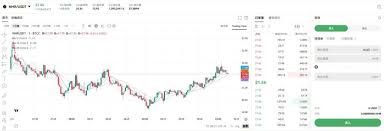 NMR币是否值得长期持有(nmc币)