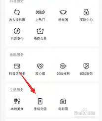 抖音抖币充值入口在哪(抖音抖币充值入口苹果)