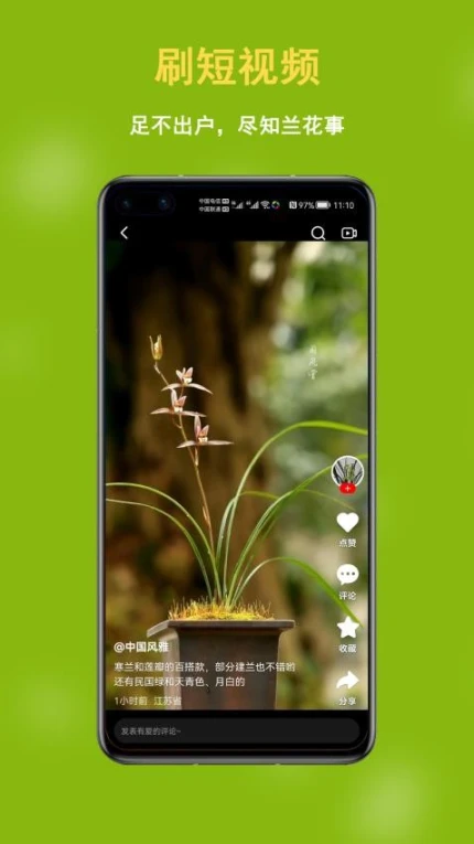 兰花交易网app移动版