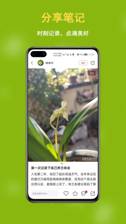 兰花交易网app移动版
