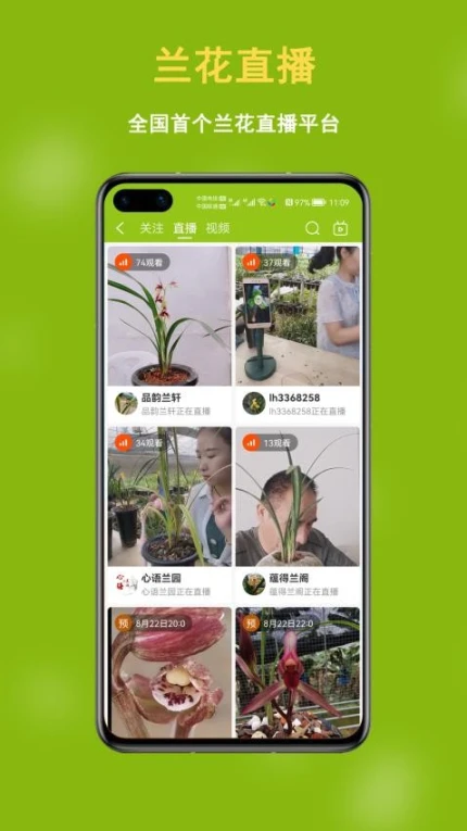 兰花交易网app移动版