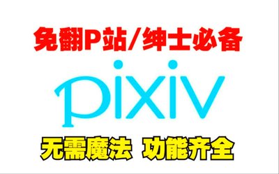 pixiv网站最新入口是什么(pixiv网2021年)