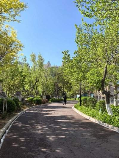 百度街景怎么分享给别人(百度街景时光机)